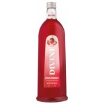 Jelzin Strawberry Vodka 37,5% 1 l (holá láhev) – Hledejceny.cz