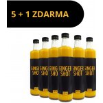 Gingershot Ginger Shot 5 x 0,5 l a 0,5 l – Zboží Mobilmania