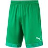 Puma CUP Shorts