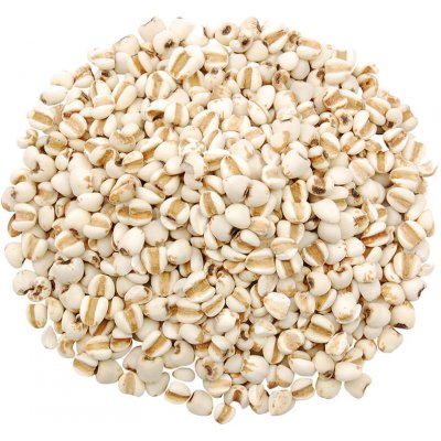 Vital Country Slzovka obecná 1 kg – Sleviste.cz