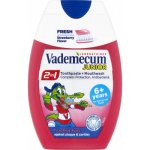 Vademecum 2v1 Junior kombinace zubní pasty a ÚV Jahoda 75 ml – Hledejceny.cz