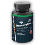 GF nutrition Resveratrol 98% 60 kapslí – Hledejceny.cz