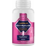 Altervet Cartilan MSM+kurkumin 130 g 100 tbl – Hledejceny.cz