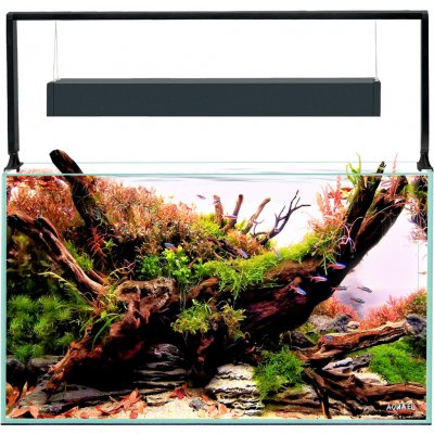 Aquael Ultrascape 60 forest 64,8 l – Hledejceny.cz