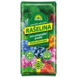 Forestina Rašelina 10 l – Zboží Dáma