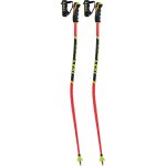 Leki WCR LITE GS 3D 2024/25 – Zboží Dáma