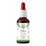 Salvia Paradise Marco tinktura 50 ml – Hledejceny.cz