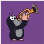 Dino obrázkové kostičky Krteček 4 kostky – Zboží Dáma