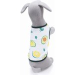 Vsepropejska Zada ovocné tričko s potiskem pro psa – Sleviste.cz