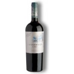 Casa Del Bosque Gran Reserva Syrah 2021 14% 0,75 l (holá láhev) – Hledejceny.cz