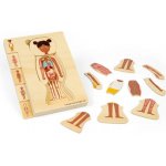 Bigjigs Toys puzzle Anatomie dívka – Zboží Mobilmania