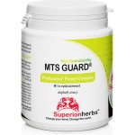 Superionherbs MTS GUARD Phytosome Power Complex 90 kapslí – Hledejceny.cz