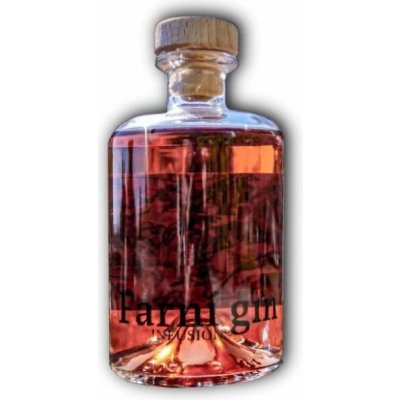 Farní Infusion Gin 43% 0,5 l (holá láhev) – Zbozi.Blesk.cz