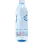 Fromin kojenecká voda 1 l – Sleviste.cz