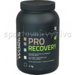 NutriWorks Pro Recovery 2000 g – Zboží Dáma