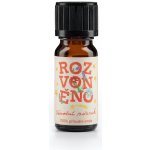 Rozvoněno Vánoční zázrak 100% éterický olej s hřebíčkem skořicí badyánem a anýzem 10 ml – Zboží Dáma