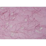 Sapaimport Japonský ruční papír - RAMIE vodoznak různé odstíny Velikost: 23x32 cm, Barevnost: růžová – Zboží Mobilmania