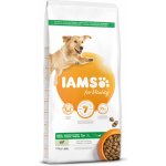 Iams Dog Adult Large Lamb 12 kg – Hledejceny.cz