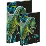 Karton P+P A4+A5 Premium Dinosaurus 0-056X25 – Zboží Dáma
