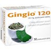 Lék volně prodejný GINGIO POR 120MG TBL FLM 30