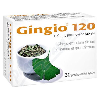 GINGIO POR 120MG TBL FLM 30 – Zbozi.Blesk.cz