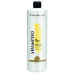 IV San Bernard banánový 500 ml – Hledejceny.cz