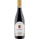 Villa Rizzardi Amarone Della Valpolicella Riserva 2020 Červené 16% 0,75 l (holá láhev) – Hledejceny.cz