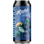 Raks Limonáda Borůvka 0,5 l – Zboží Dáma