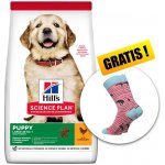 Hill’s Science Plan Puppy Large Breed Chicken Val Pack 16 kg – Sleviste.cz