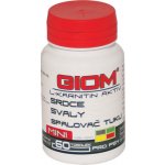 Giom L-karnitin Aktiv Mini 60 tbl – Hledejceny.cz