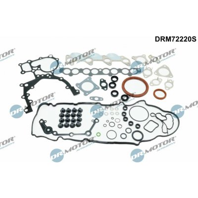 Kompletní sada těsnění, motor Dr.Motor Automotive DRM72220S – Zboží Mobilmania