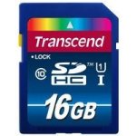 Transcend SDHC 16 GB UHS-I U1 TS16GSDU1 – Zbozi.Blesk.cz