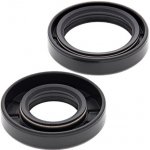 ALL BALLS těsnění klikové hřídele YAMAHA YZ80 80-01, YZ85 02-18 | Zboží Auto