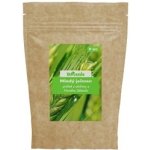 Botanic Mladý ječmen Bio 100 g – Hledejceny.cz