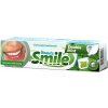 Zubní pasty Smile Beauty zubní pasta Double Mint 100 ml