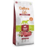Calibra Life Junior Large Fresh Beef 12 kg – Sleviste.cz