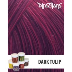 La Riché Directions 00 Dark Tulip 89 ml