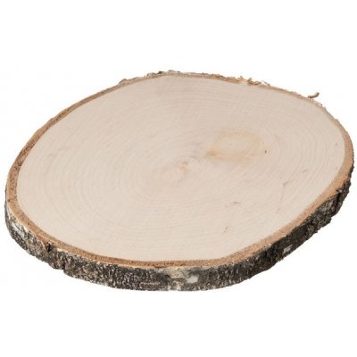ČistéDřevo Dřevěná podložka z kmene břízy 15-20 cm – Zboží Mobilmania