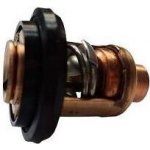 Yamaha Termostat pro F(L)200F/F(L)200G/F175A – Hledejceny.cz