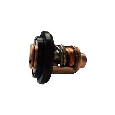 Yamaha Termostat pro F(L)200F/F(L)200G/F175A – Hledejceny.cz