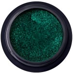 BORN PRETTY Metallic 14 pigment na nehty – Hledejceny.cz