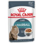 Royal Canin Hairball Care proti tvorbě bezoárů 48 x 85 g – Hledejceny.cz