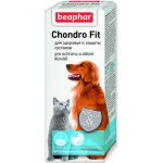 Beaphar CHONDRO FIT 35 ml – Hledejceny.cz