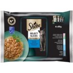 Sheba Selection in Sauce losos a treska tmavá bílá ryba mořská ryba treska obecná 4 x 85 g – Hledejceny.cz