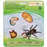 Životní cyklus Brouk Roháč Safari Ltd. – Zbozi.Blesk.cz