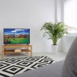 ECG 32 H06T2S2 – Zboží Živě