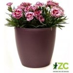 Plastia Plastový květináč Perla 16 cm vínový – Zboží Dáma