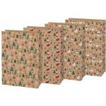 MFP sáček papírový vánoční KRAFT 4 26x36x12cm mix 5252929 – Hledejceny.cz