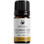 Odylique Esenciální olej Cedr 5 ml – Hledejceny.cz