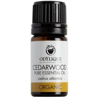 Odylique Esenciální olej Cedr 5 ml – Hledejceny.cz